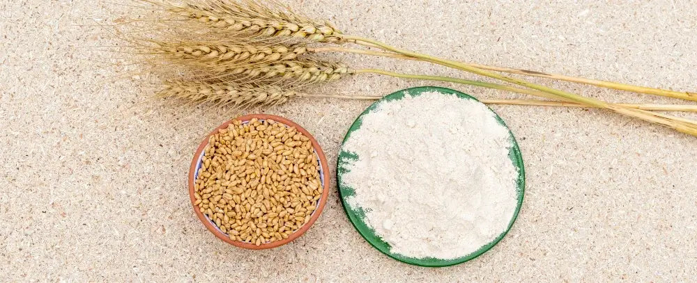 5 signes qui montre que vous êtes intolérant au gluten