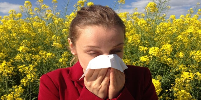 Tout ce que vous devez savoir nos tests allergie