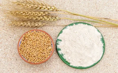5 signes qui montre que vous êtes intolérant au gluten