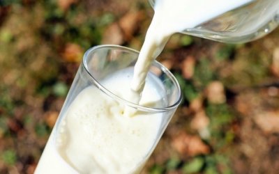 Qu’est-ce que le lactose ?