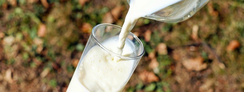 l'intolérance au lactose