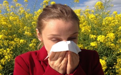 Tout ce que vous devez savoir nos tests allergie
